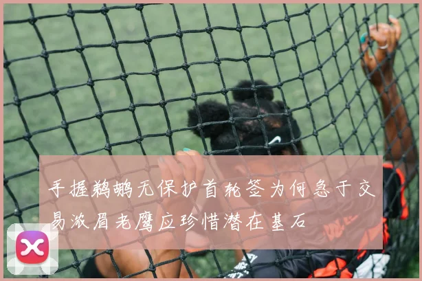 手握鹈鹕无保护首轮签为何急于交易浓眉老鹰应珍惜潜在基石