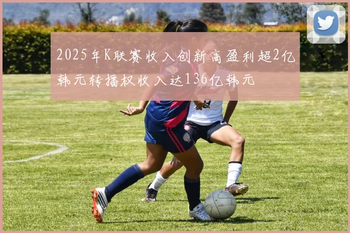 2025年K联赛收入创新高盈利超2亿韩元转播权收入达136亿韩元