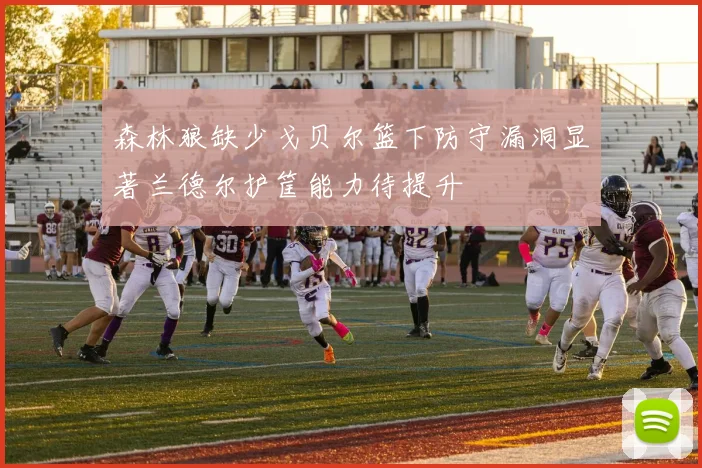 森林狼缺少戈贝尔篮下防守漏洞显著兰德尔护筐能力待提升