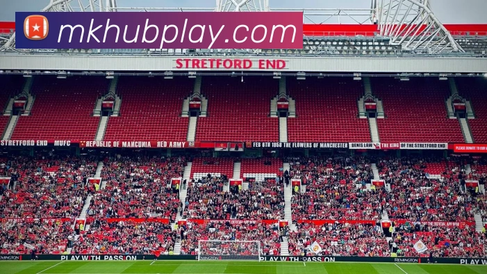 MK体育服务体系